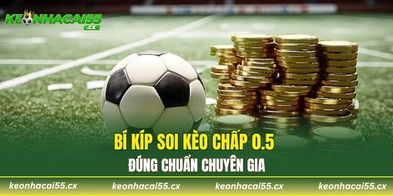 Bí kíp soi kèo chấp 0.5 đúng chuẩn chuyên gia