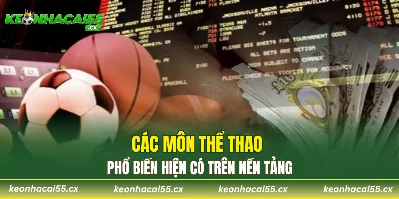 Các môn thể thao phổ biến hiện có trên nền tảng