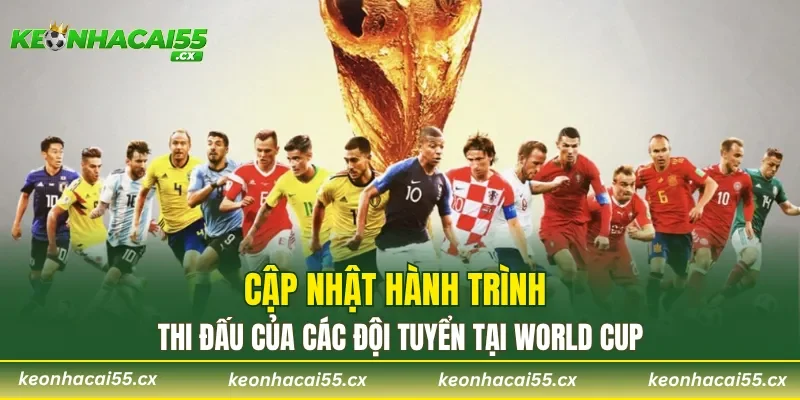 Cập nhật hành trình thi đấu của các đội tuyển tại World Cup