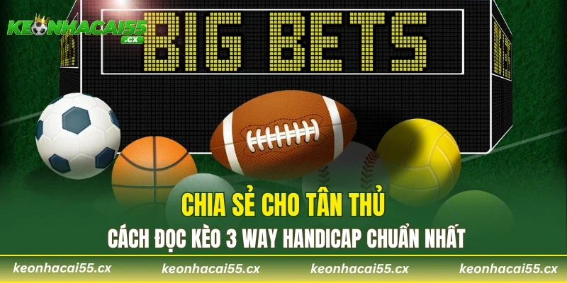 Chia sẻ cho tân thủ cách đọc kèo 3 way handicap chuẩn nhất