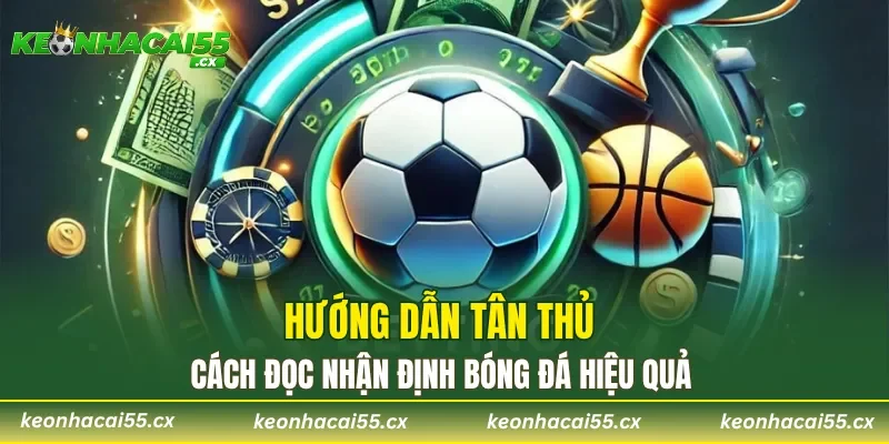Hướng dẫn tân thủ cách đọc nhận định bóng đá hiệu quả 