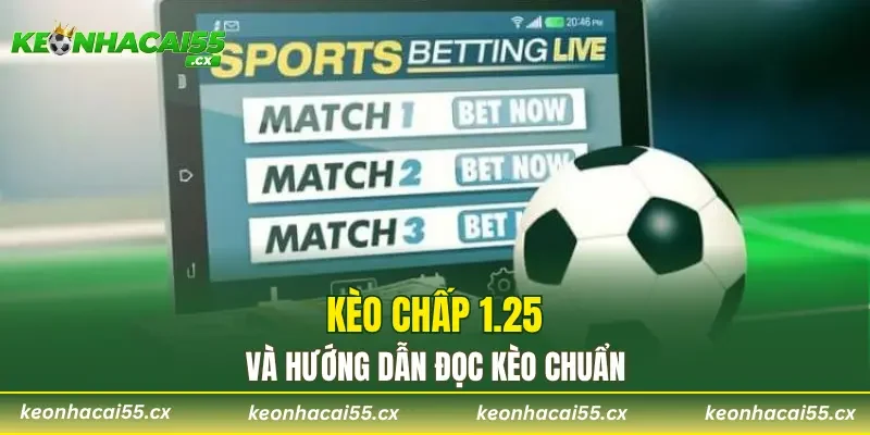 Kèo chấp 1.25 và hướng dẫn đọc kèo chuẩn