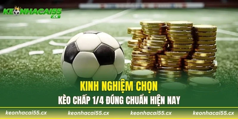 Kinh nghiệm chọn kèo chấp 1/4 đúng chuẩn hiện nay
