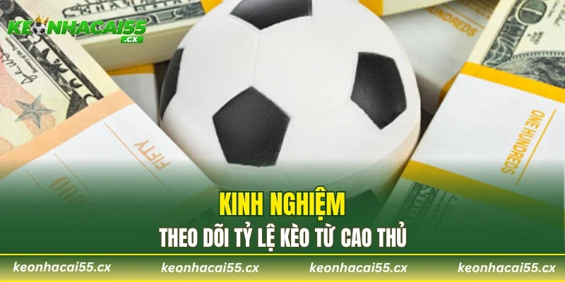 Kinh nghiệm theo dõi tỷ lệ kèo từ cao thủ