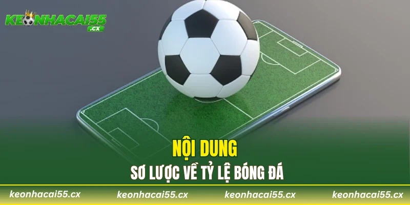 Nội dung sơ lược về tỷ lệ bóng đá