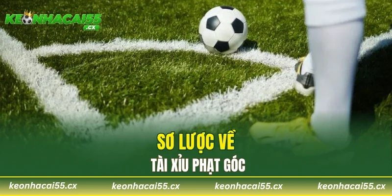 Sơ lược về tài xỉu phạt góc