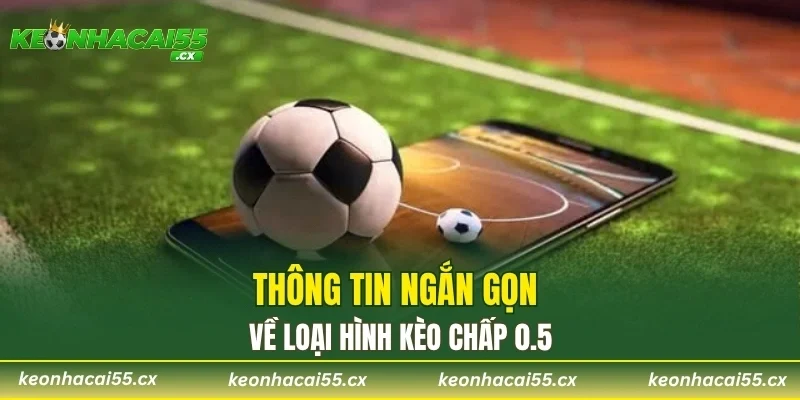Thông tin ngắn gọn về loại hình kèo chấp 0.5