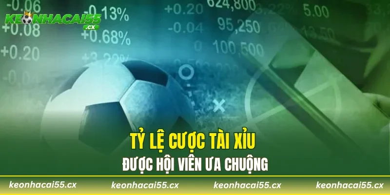 Tỷ lệ cược tài xỉu được hội viên ưa chuộng