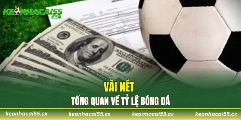 Vài nét tổng quan về tỷ lệ bóng đá