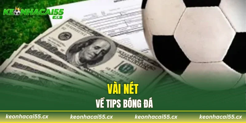 Vài nét về tips bóng đá