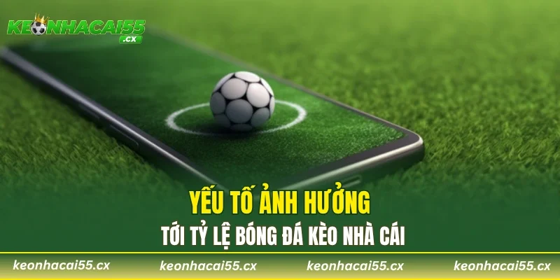 Yếu tố ảnh hưởng tới tỷ lệ bóng đá Kèo Nhà Cái