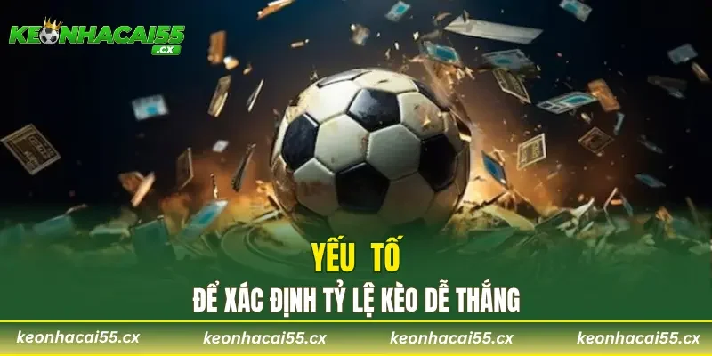 Yếu tố để xác định tỷ lệ kèo dễ thắng