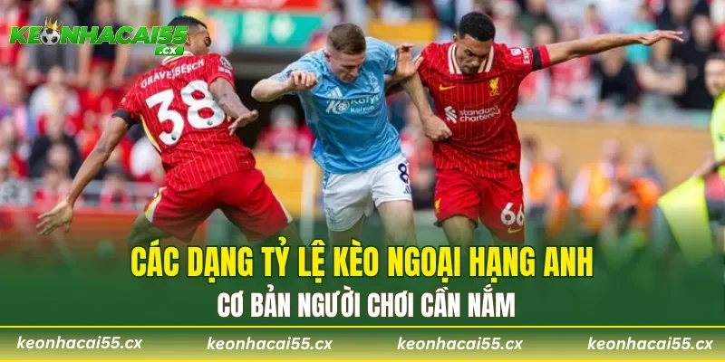 Các dạng tỷ lệ kèo Ngoại hạng Anh cơ bản người chơi cần nắm