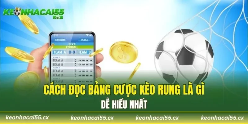 Cách đọc bảng cược kèo rung là gì dễ hiểu nhất