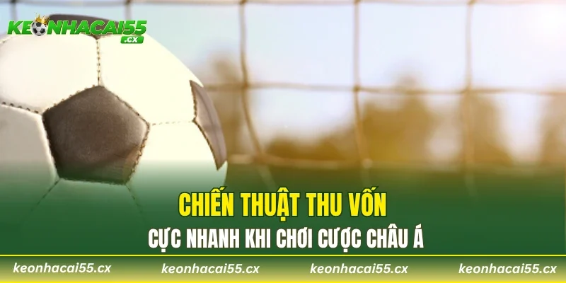 Chiến thuật thu vốn cực nhanh khi chơi cược châu Á