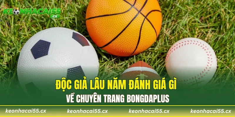 Độc giả lâu năm đánh giá gì về chuyên trang Bongdaplus?