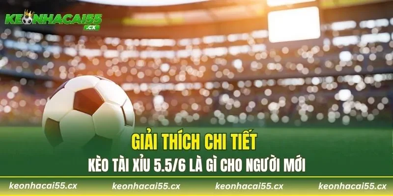 Giải thích chi tiết kèo Tài Xỉu 5.5/6 là gì cho người mới