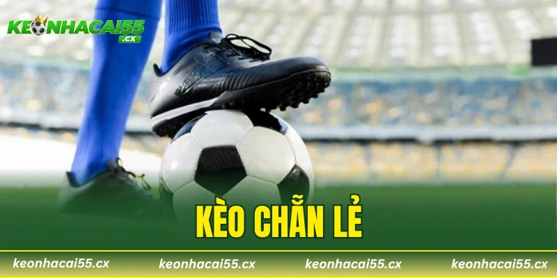 Kèo Chẵn Lẻ – 4 Bước Đọc Kèo Chuẩn Không Thể Bỏ Qua