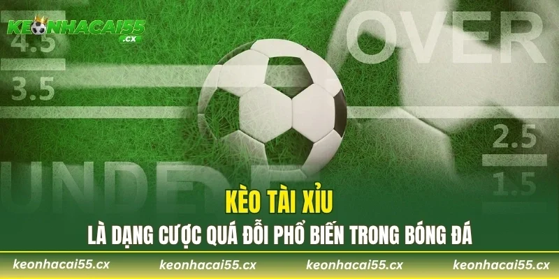 Kèo tài xỉu là dạng cược quá đỗi phổ biến trong bóng đá