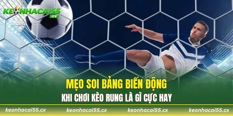  Mẹo soi bảng biến động khi chơi kèo rung là gì cực hay