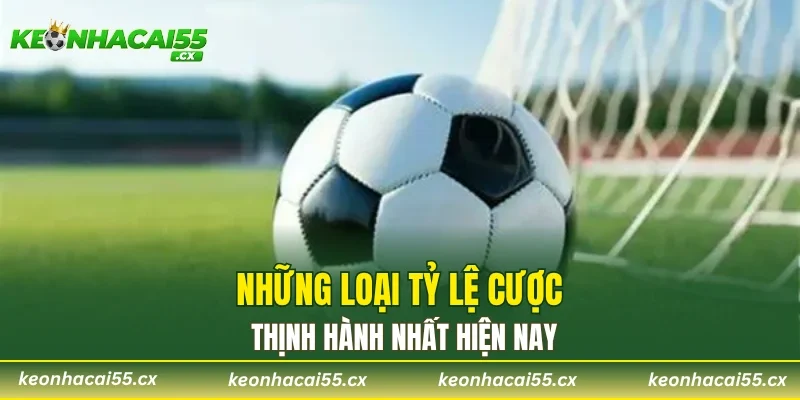 Những loại tỷ lệ cược thịnh hành nhất hiện nay