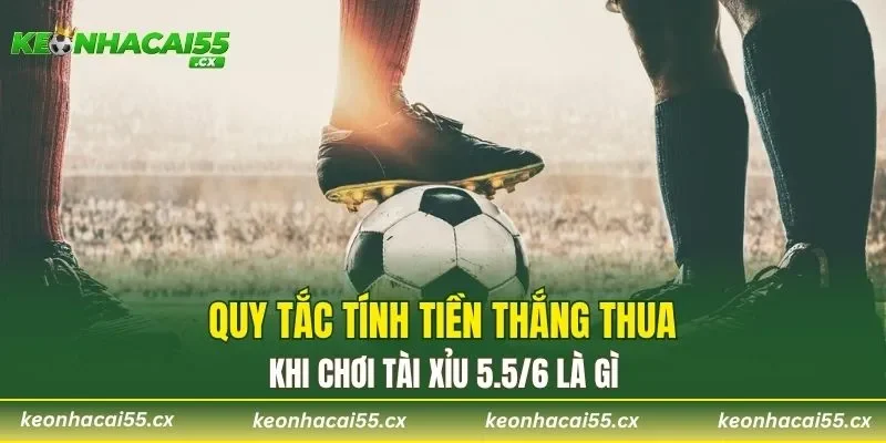 Quy tắc tính tiền thắng thua khi chơi Tài Xỉu 5.5/6 là gì