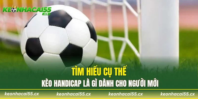 Tìm hiểu cụ thể kèo Handicap là gì dành cho người mới