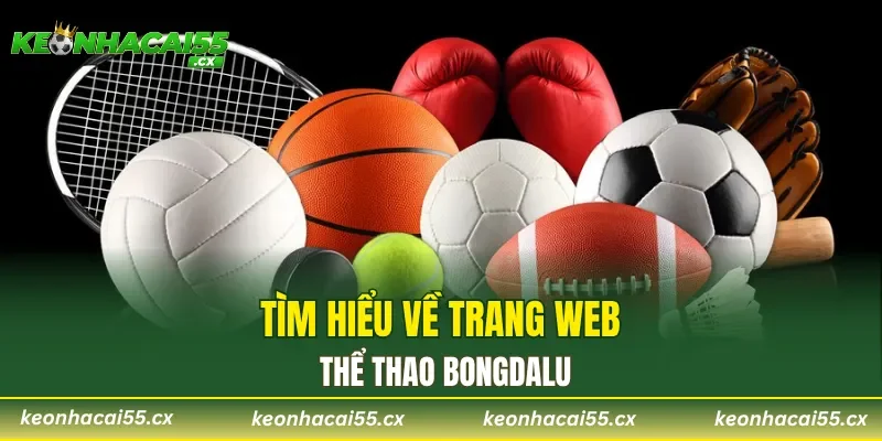 Tìm hiểu về trang web thể thao Bongdalu