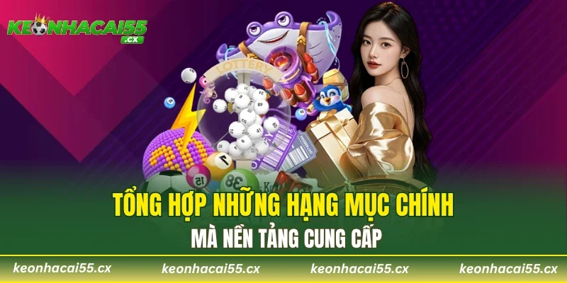 Tổng hợp những hạng mục chính mà nền tảng cung cấp
