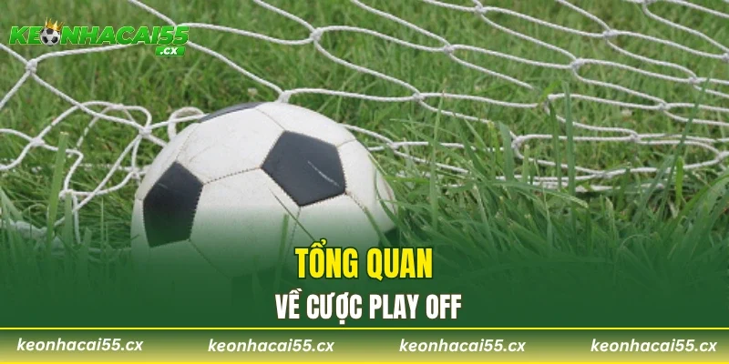 Tổng quan về cược play off