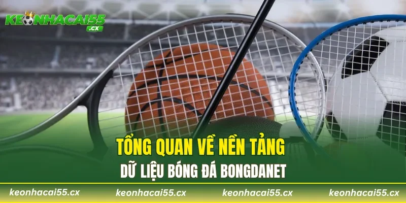 Tổng quan về nền tảng dữ liệu bóng đá Bongdanet